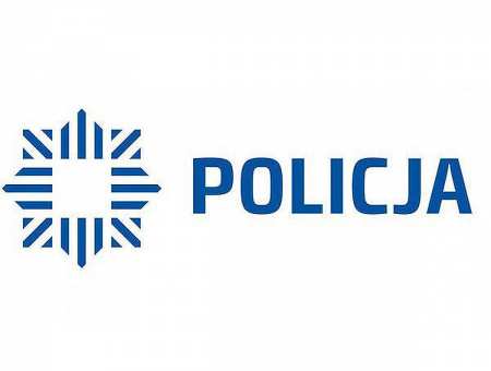 Wjechał w samochód i opłotowanie posesji